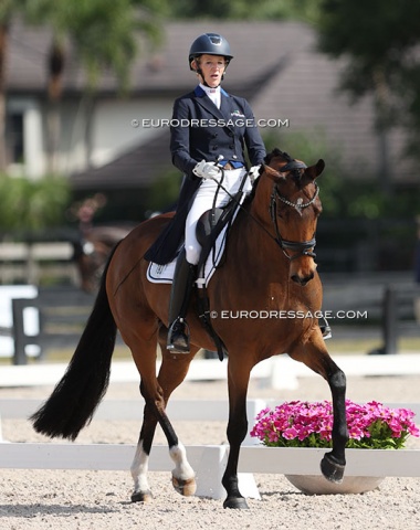 Arlene Page on Janice Murdoch's Danish bred Zaphir (by Zodiac x Quattro B), previously shown by Silva Martin