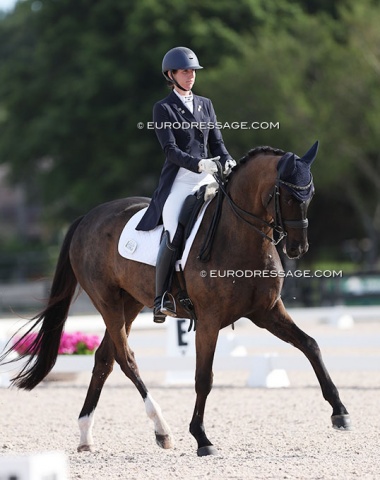 Meghan Riviello on Five Ring Farm's Oldenburg Sandringham (by San Amour x De Niro)