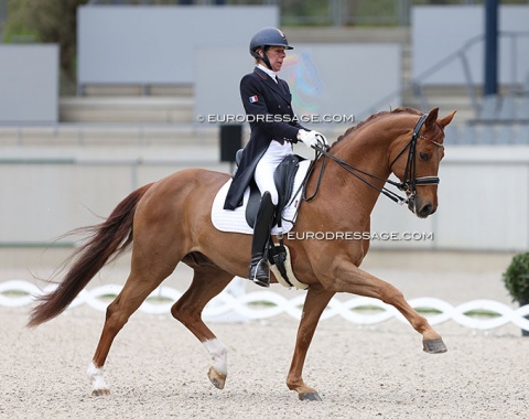 Stephanie Brieussel on Fellini du Soleil (by Foundation x Rubin Royal)