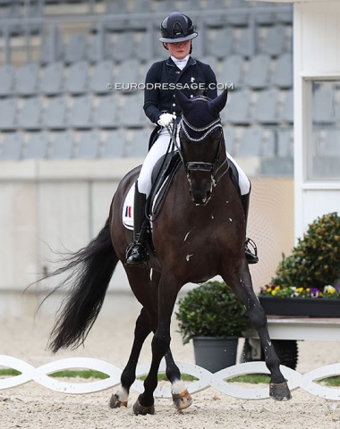 Lou Eden Commenge on Legend Dancarino (by Dante Weltino x Rotspon)