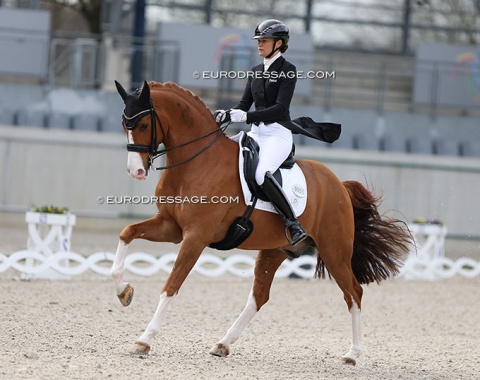 After 10 years Jessica Michel-Botton made her come back at international Grand Prix level with Djembe de Hus (by Damon Hill x Argentinus)