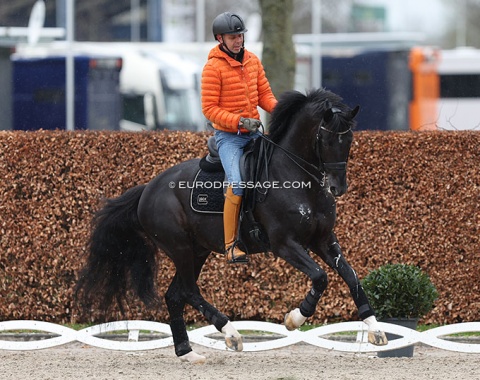 Hans Peter Minderhoud brought Toto Jr (by Totilas x Desperados) for training to Aachen