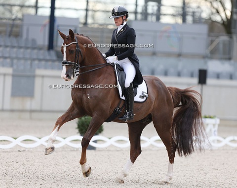 Kebie van der Heijden on Jackpot van het Trichelhof (by Everdale x Negro)