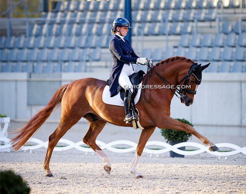 Katrien Verreet on Oblix van de Kempenhoeve (by Quaterback x Sungold)