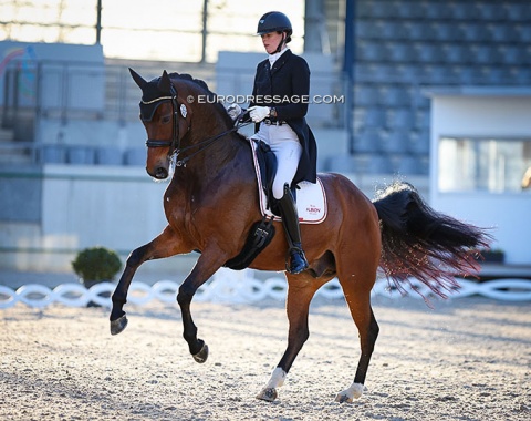 Jorinde Verwimp on Charmer (by Charmeur x Quattro B)