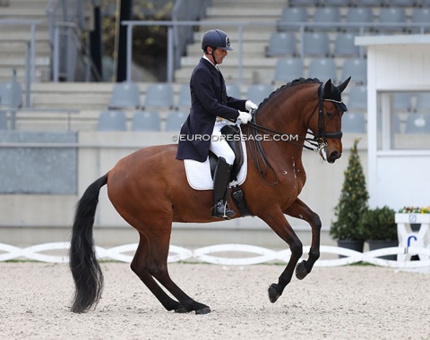 Richard White on Lusitano Heroi do Seixo