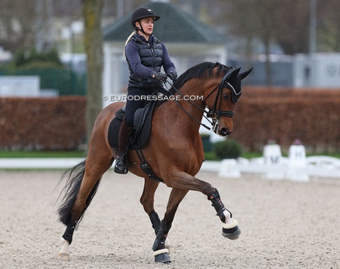 Anna Zibrandtsen schooling Quel Filou (by Quaterback x Stedinger)