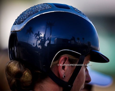 Palm trees in a helmet