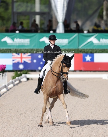 Ashley Rand on Heimdals Champ (by Skovens Rafael x Castro)