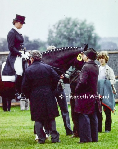 After „Bubi“ Günther died , Gabi Grillo started training with Albert Stecken who gives last minute advice before her start with Ultimo in Aachen.