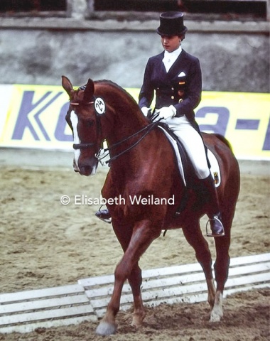 What she just missed with Ultimo, Grillo finally realized  at the 1981 Europeans where Galapagos earned her an individual medal (bronze), despite torrential rain and deep footing.