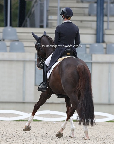 Claudia Dorpmans on Bravo Benico (by Benicio x Rohdiamant)