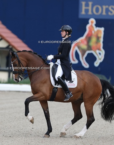 Anna-Catherine Schöffner on Felippa W (by Foundation x Breitling W). The mare was still quite downhill in the work, except in the piaffe