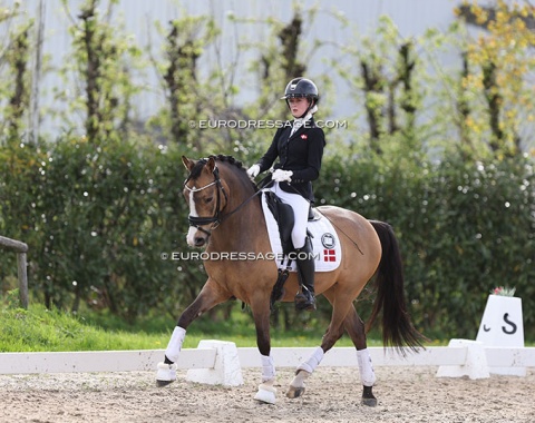 Cecilie Gautier Christensen warming up Tackmann's Cookie