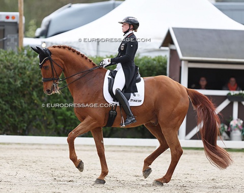 Katharina Hemmer on Vino (by Vitalis x Real Diamond)