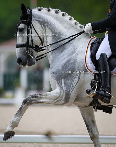 Rain on a grey horse