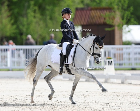 Alexine Herweyers on Steendieks La Perla (by Dalai x FS Chambertin)