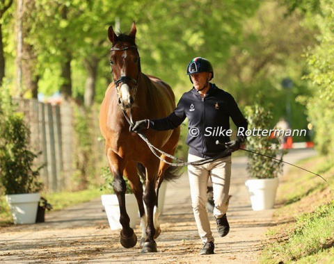 Italys’s Alessandro Benedetti and Francesca Salvadé’s gorgeous Hanoverian Escari (by Escolar-Diamond Hit)