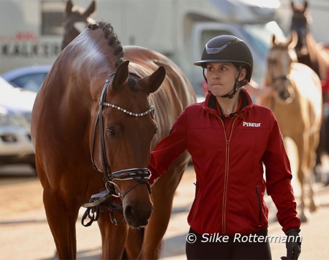 Gianna Regenbrecht’s tall leggy Oldenburg gelding Tomorrowland (by Tomahawk x Florencio I) on the way to the jog-strip.