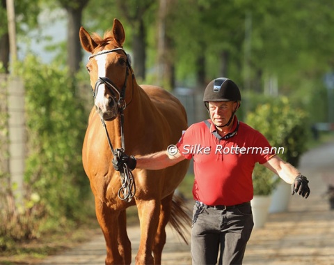 German Grade 2 rider Julia Porzelt’s ride Bruno (by Breitling W x Dream of Heidelberg II) took the vet-check completely in his stride