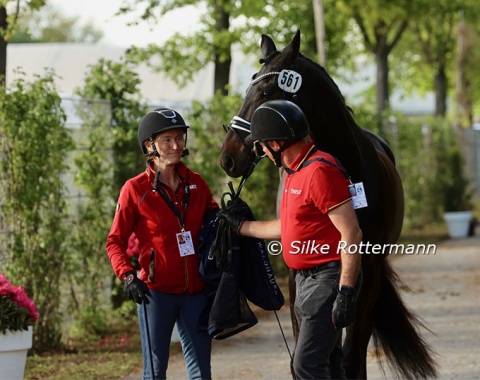 Rolf Grebe handing over Festina Dream (by Festus Gmo x White Star) to her rider Saskia Deutz at the end of the jog