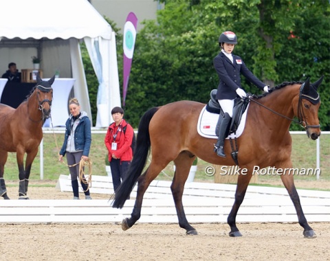The 13-year-old Hanoverian Banestro (by Bonifatius x Hofrat) and his Singapore rider Gemma Rose Jen Foo form an elegant pair. Stable-mate Gambler is acting as „friendly-horse“ in the background.