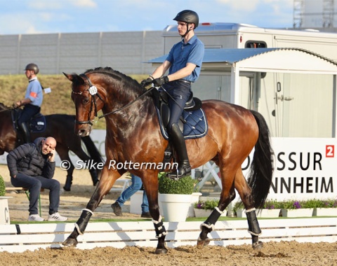 The ‚Benjamin‘ of the German team, 21-year-young Grade IV rider Noah Kuhlmann schooling his expressive Rhinelander gelding Staatslegende (by Satesman x Lanciano) 