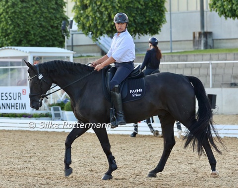 José Letartre and his Hanoverian gelding Hamilton (by Hochadel) Friday evening in the main arena