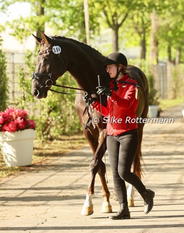 Regine Mispelkamp’s top horse Highlander Delight’s (by Florencio x Jazz).