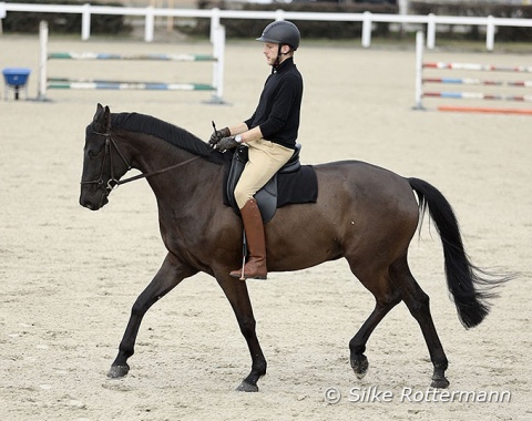 The beginning of lengthening the strides in trot.