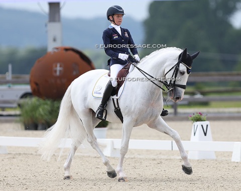 Lotta Wallin on the PRE bred Enebro SB (by Judio VII x Nervio II)