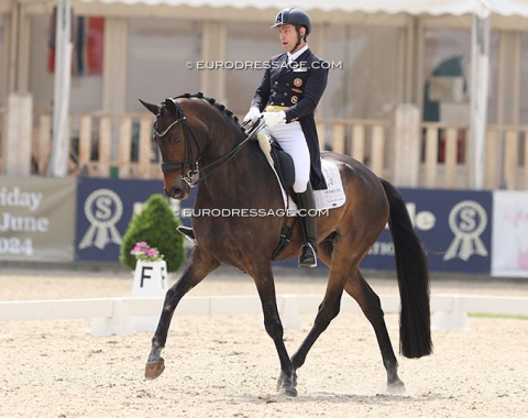 Antonio do Vale on Fine Fellow H