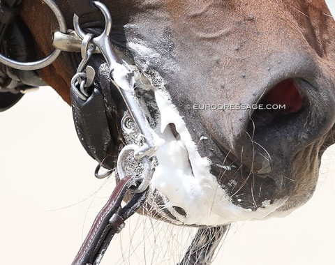 Fluff is en vogue.... not a single stewards makes a comment or asks to wipe the mouth before entering