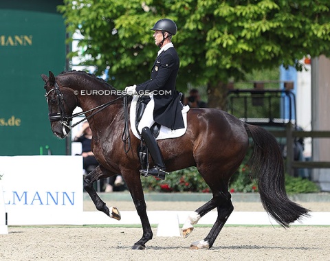 Guenter Seidel on Jack