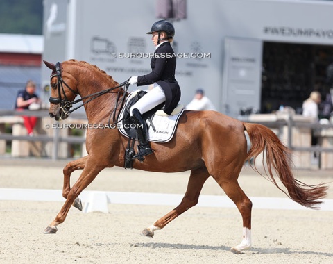 Susanna Steinberg on Rhapsodie