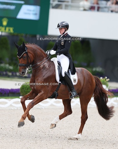 Katharina Hemmer's Denoix is such a talented horse, but today he was tense and couldn't cope with the electric atmosphere