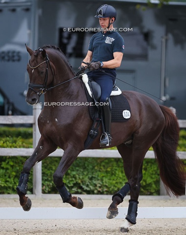 Bart Veeze on Red Viper (by Romanov x Sir Sinclair)
