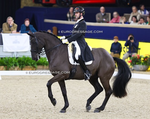 Domien Michiels on Belgian warmblood Intermezzo van het Meerdaalhof (by Gribaldi x Balzflug)
