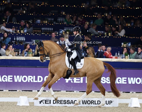 Bianca Nowag-Aulenbrock on Elisabeth von Wulffen's Florine OLD (by Foundation x Lauries Crusador xx)