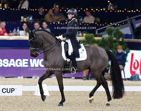 Corentin Pottier on Gotilas (by Totilas x Ferro)