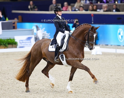 Marlies van Baalen on the home bred Habibi DVB (by Don Schufro x Johnson)