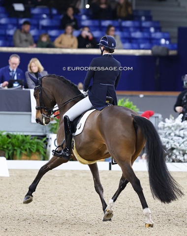 Jorinde Verwimp on the Oldenburg bred Charmer (by Charmeur x Quattro B).