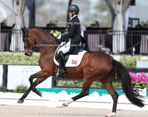 Kat Fuqua had winning riders on her Young Riders horse Dreamgirl (by Spielberg x Goodtimes)