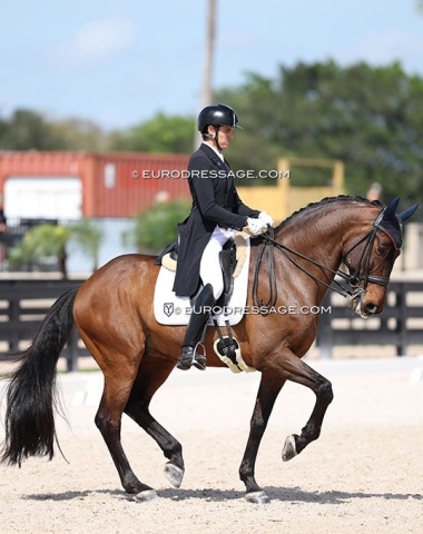 In the national ring Spaniard Pablo Gomez Molina rode the PRE cross bred Baltasar de Ymas (by Vitalis)