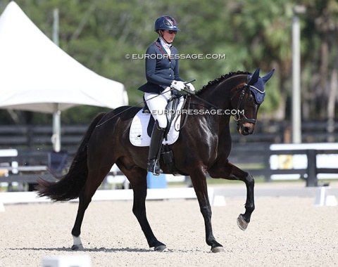Kaitlin Blythe on Dante's Hit Caledonia, bred in Scotland by Raey Campbell by Dante Weltino out of her fllagship mare Loretta Live (by Royal Dance) 