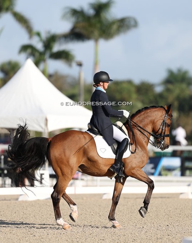 Eliane Cordia-van Reesema on Jardeaux P (by Ferdeaux x Koss)