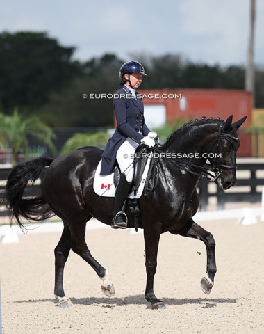 Canadian Diane Creech on Louise Leatherdale's home bred 13-year old Daniel L (by Damsey x Wolkenstein)