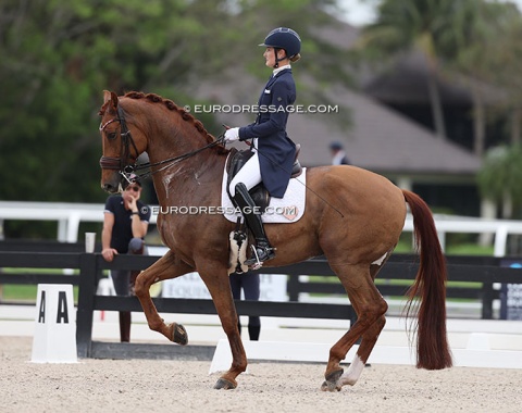 Claire Darnell on Harrold S(ollenburg), the 13-year old GORGEOUS KWPN gelding by Vivaldi x Fidermark. Such a gifted horse, good piaffe but had troubles with regularity in passage this weekend