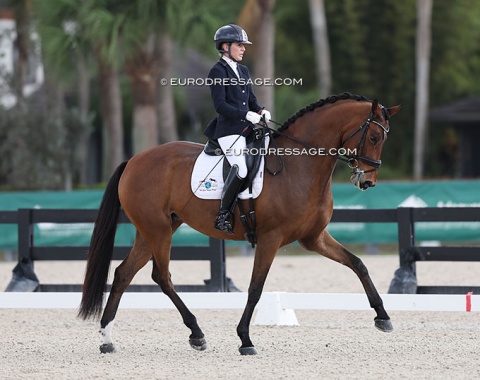 Susan Dutta on the 6-year old Baroness DC (by Baron x Jazz), sourced at Hof Kasselmann