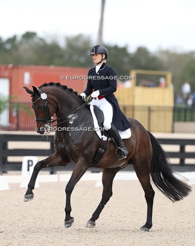 French Helene Forgin on 13-year old Hanoverian Zucchero (by Zack x Sandro Hit). Another talented GP horse but too much tension throughout